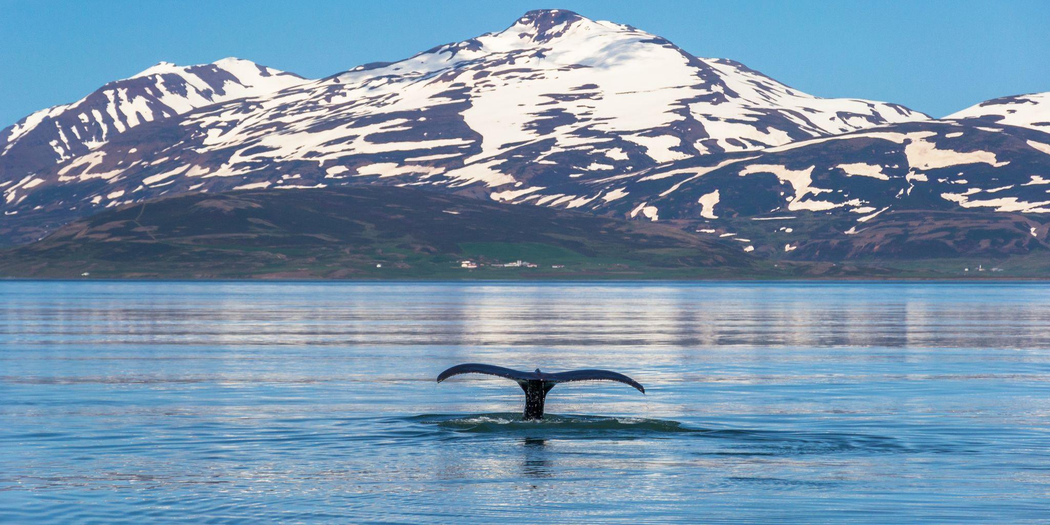 Akureyri