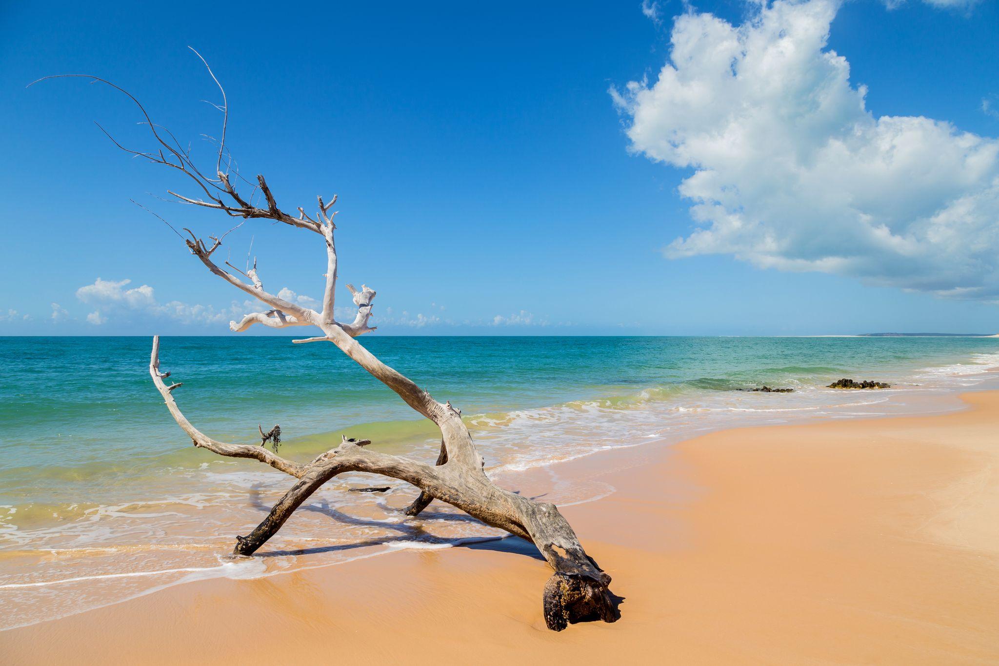 Portuguese Island