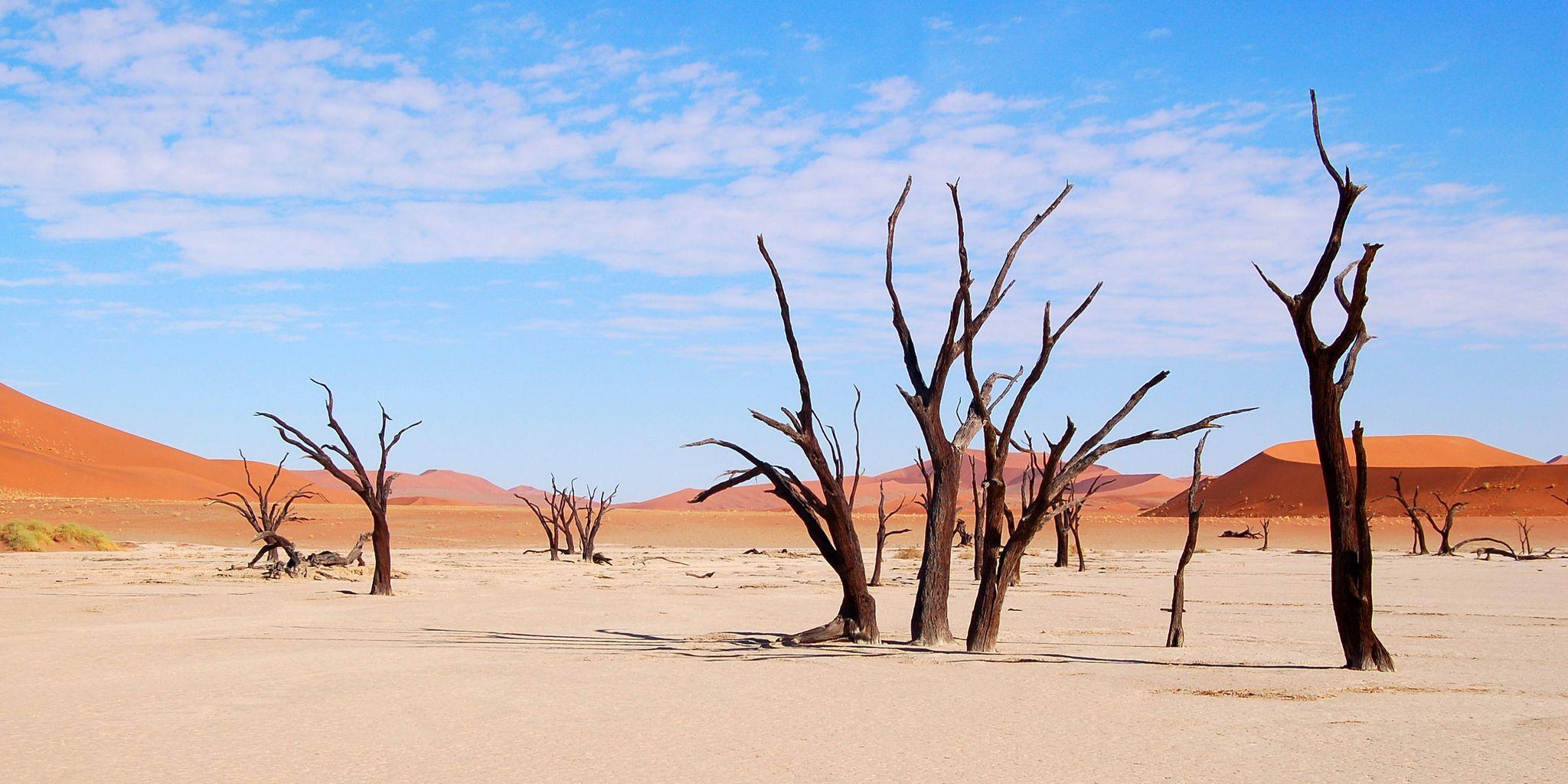 Walvis Bay