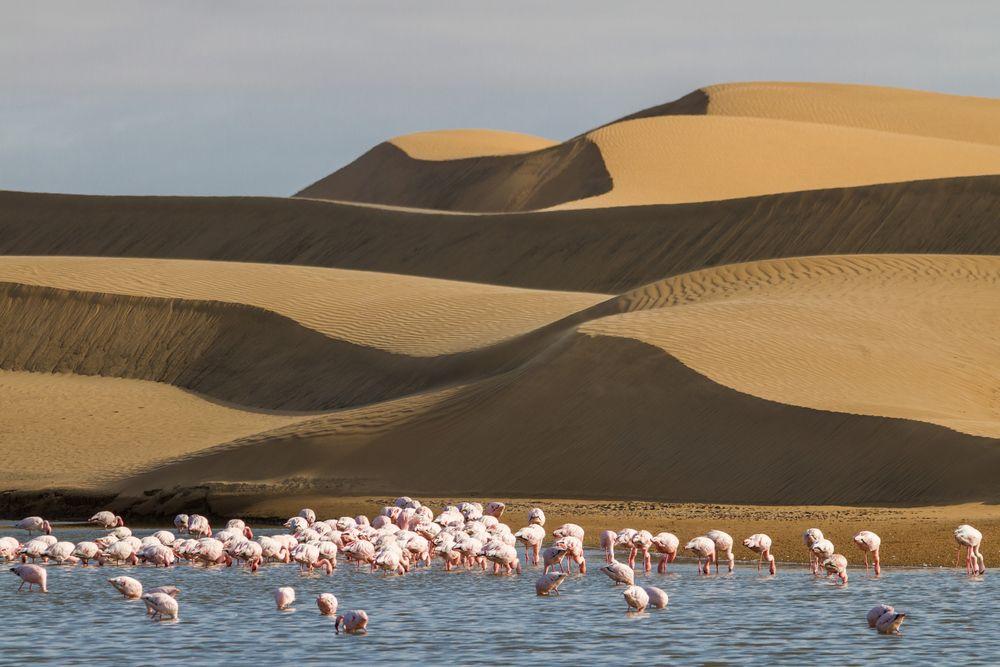 Walvis Bay