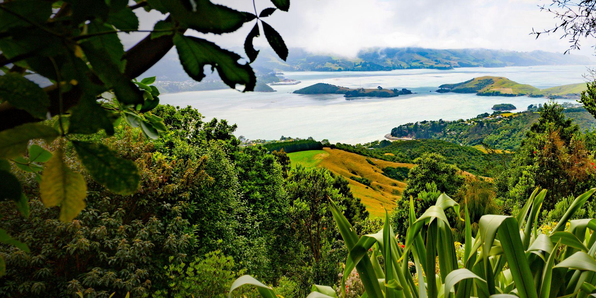 Port Chalmers