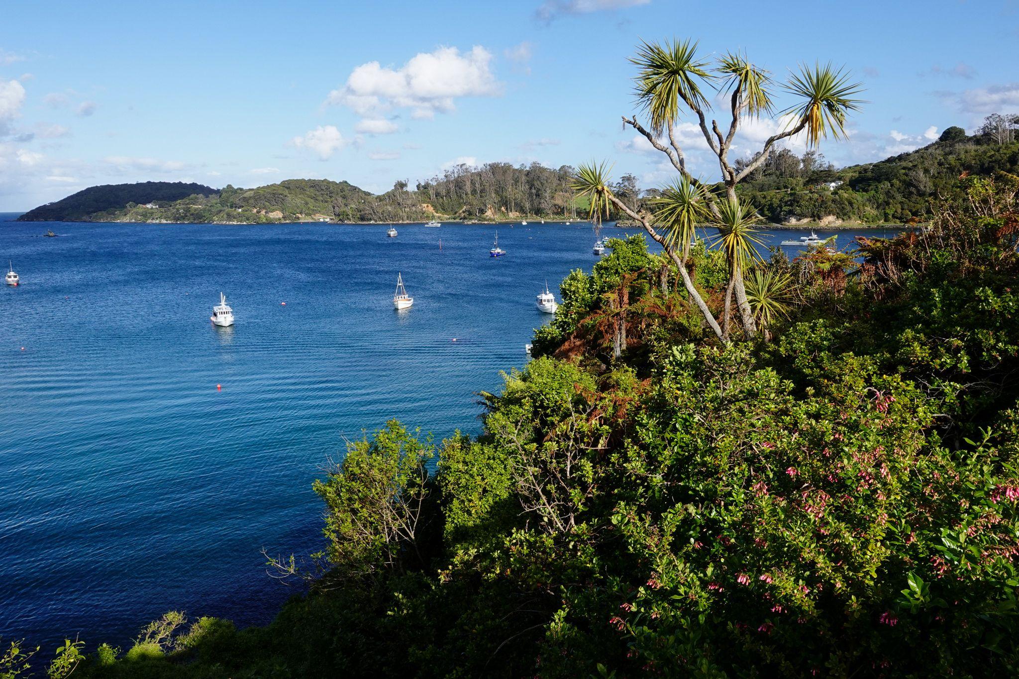 Oban, Stewart Island