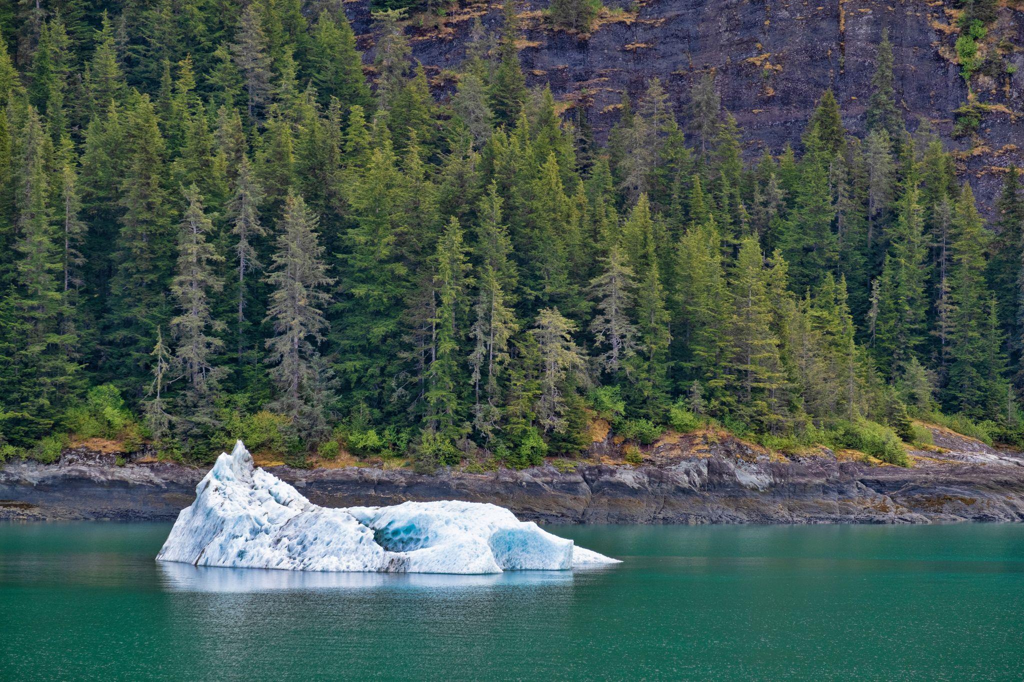 Endicott Arm, Alaska