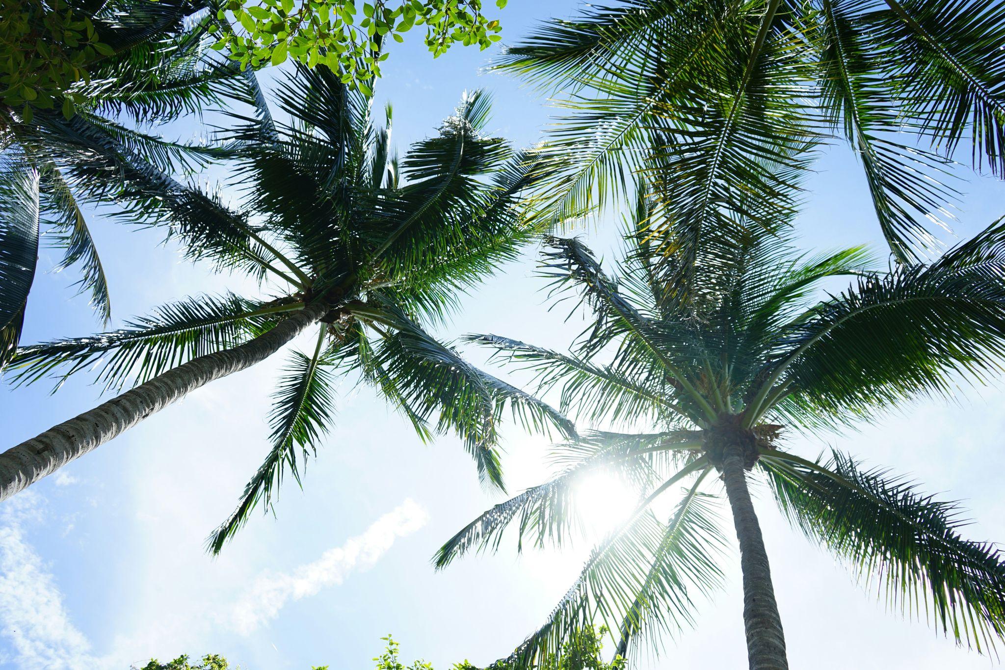 Fort Lauderdale, Florida