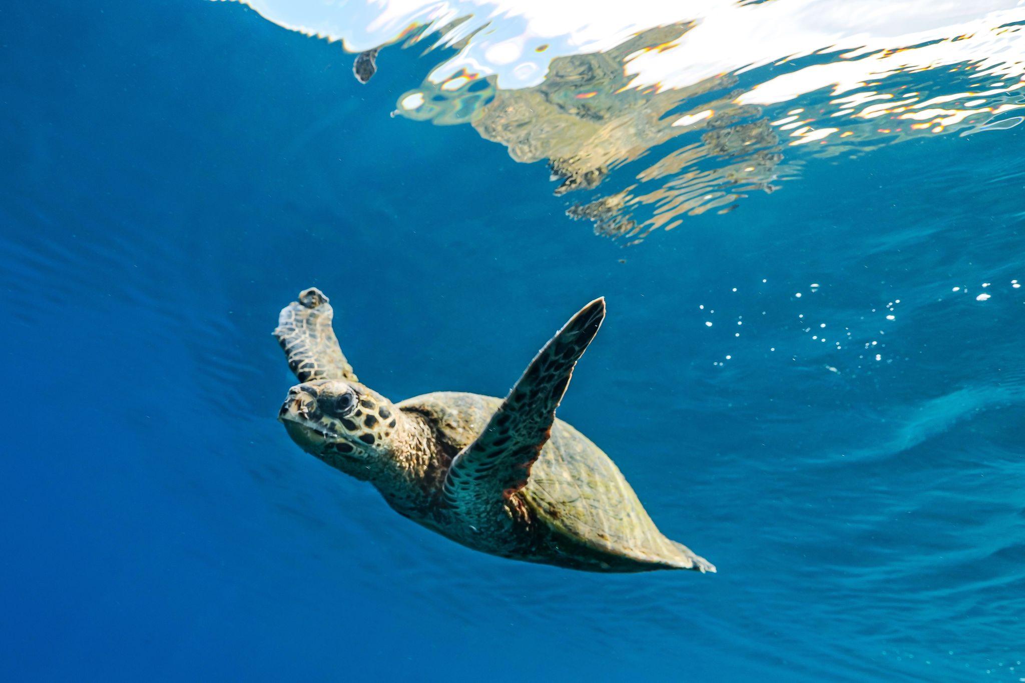 Mayotte Island