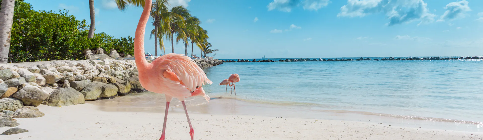 Aruba