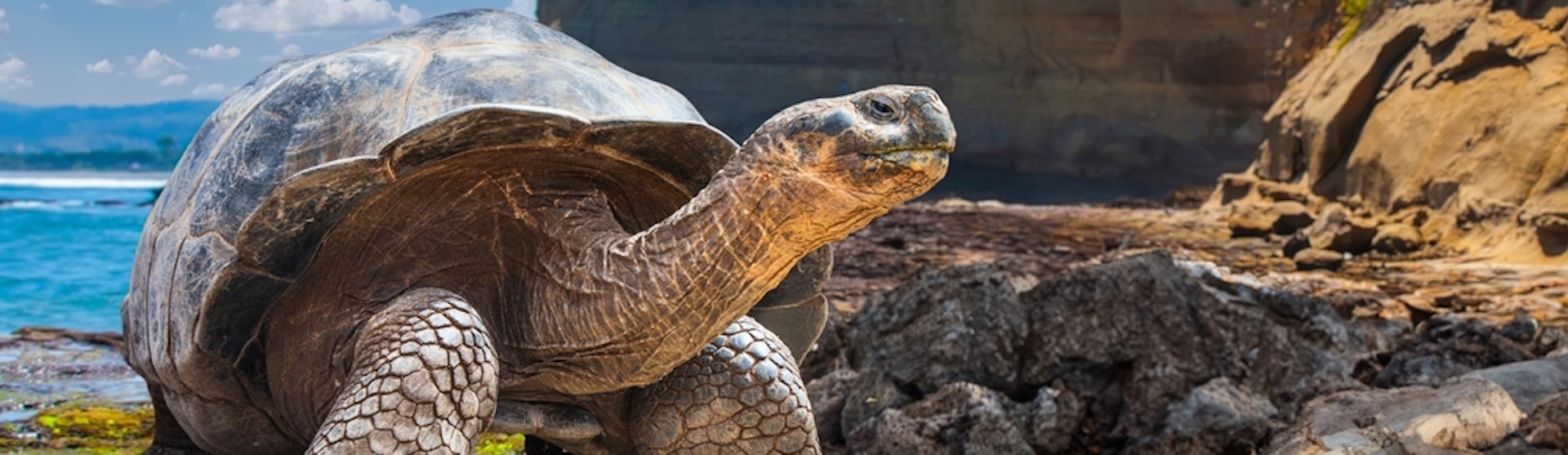 Puerto Ayora (Santa Cruz Island)